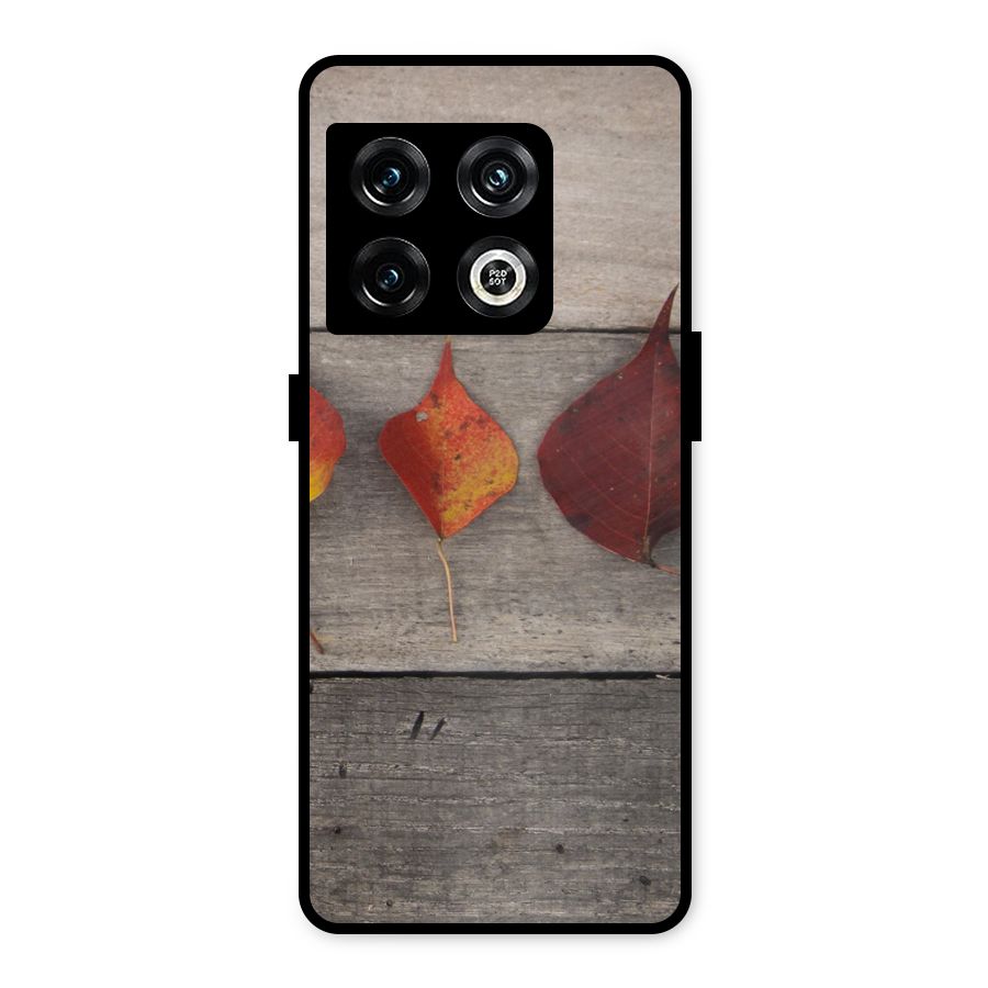 Beautiful Wood Leafs Metal Back Case for OnePlus 10 Pro 5G