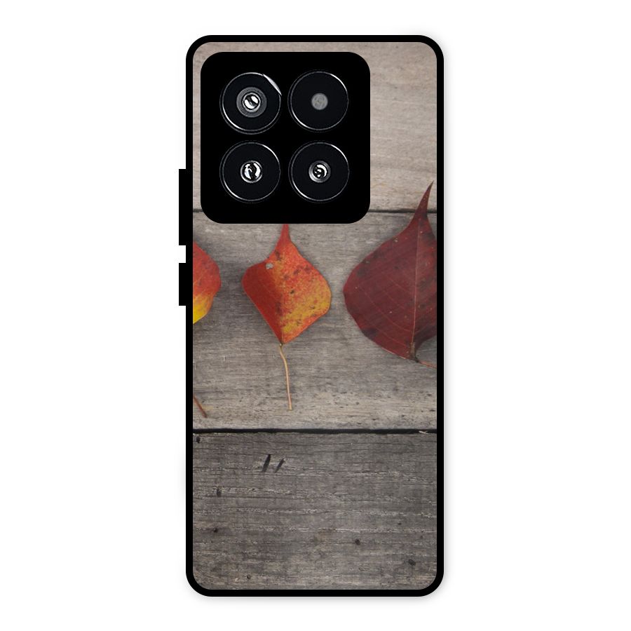 Beautiful Wood Leafs Metal Back Case for Xiaomi 14 Pro