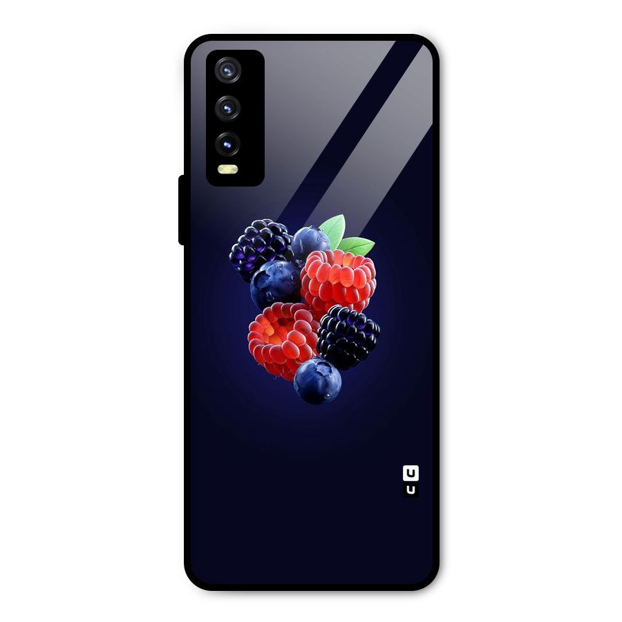 Berry Blast Metal Back Case for Vivo Y20g