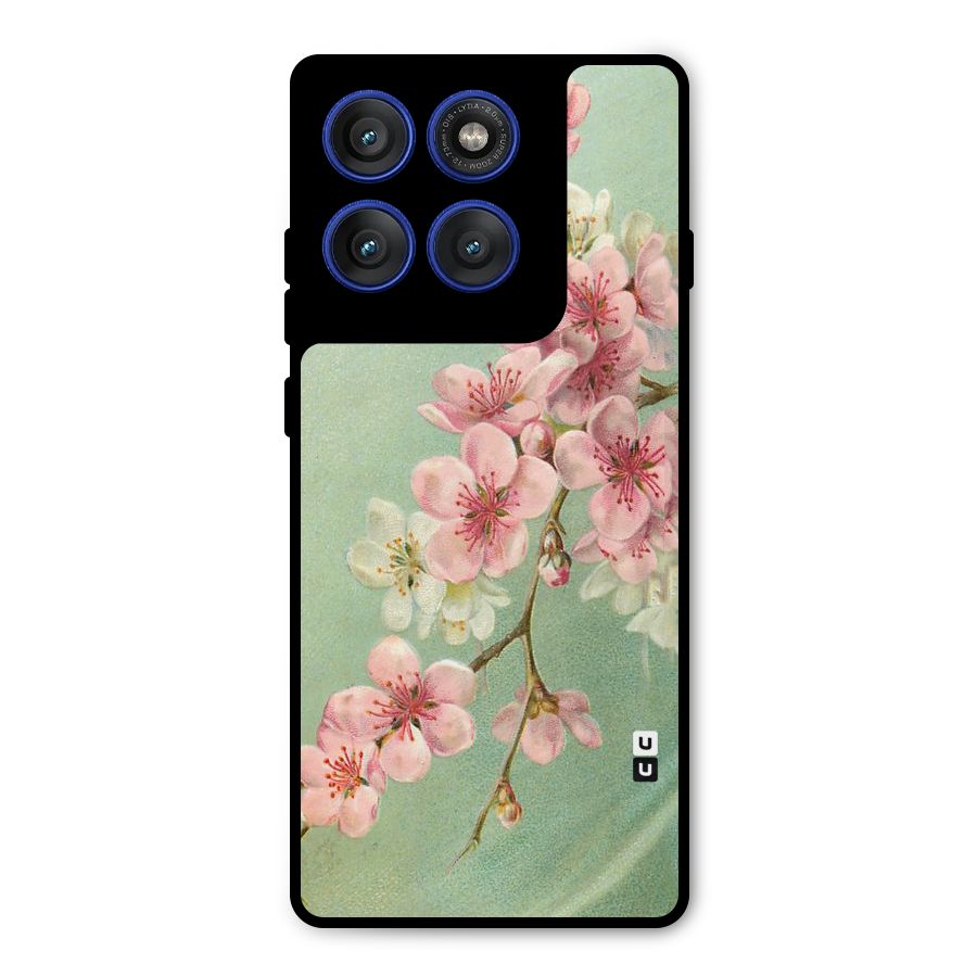 Blossom Cherry Design Metal Back Case for Motorola Edge 60 Pro