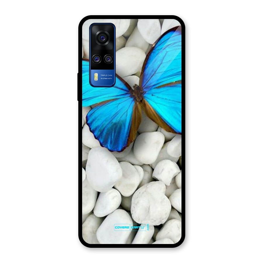 Blue Butterfly Glass Back Case for Vivo Y31