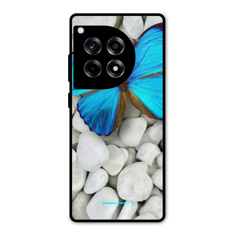 Blue Butterfly Metal Back Case for OnePlus 12R