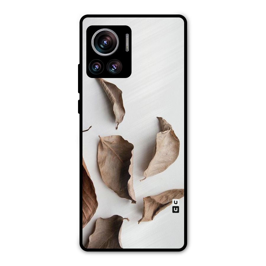 Brown Dusty Leaves Metal Back Case for Motorola Edge 30 Ultra