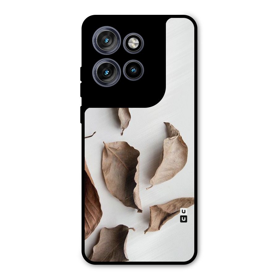 Brown Dusty Leaves Metal Back Case for Motorola Edge 50 Neo