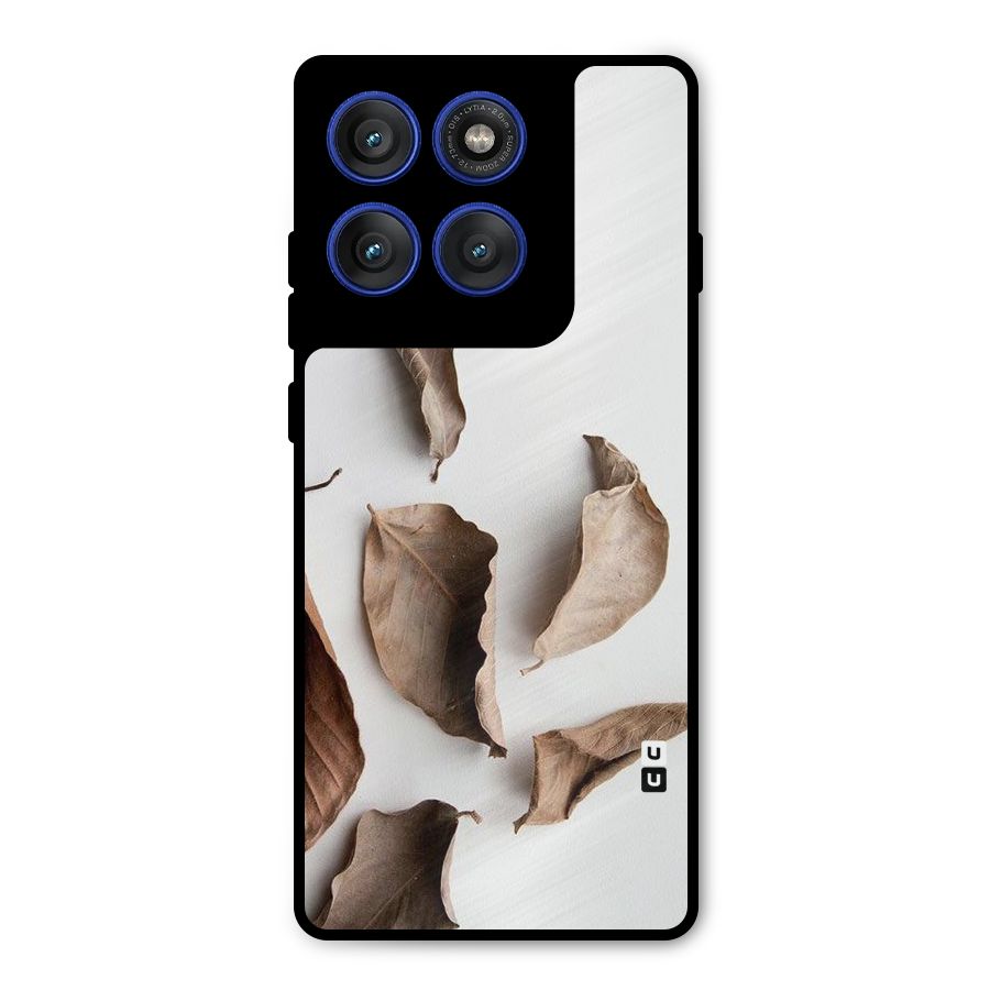 Brown Dusty Leaves Metal Back Case for Motorola Edge 60 Pro