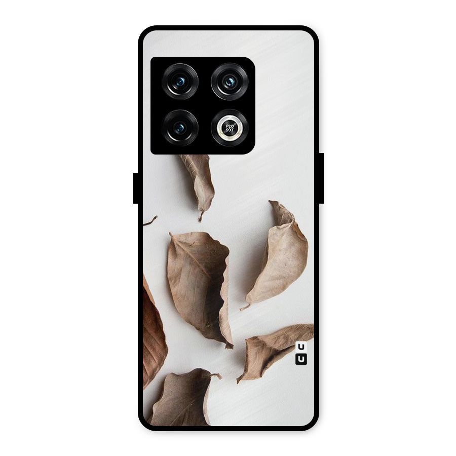 Brown Dusty Leaves Metal Back Case for OnePlus 10 Pro 5G