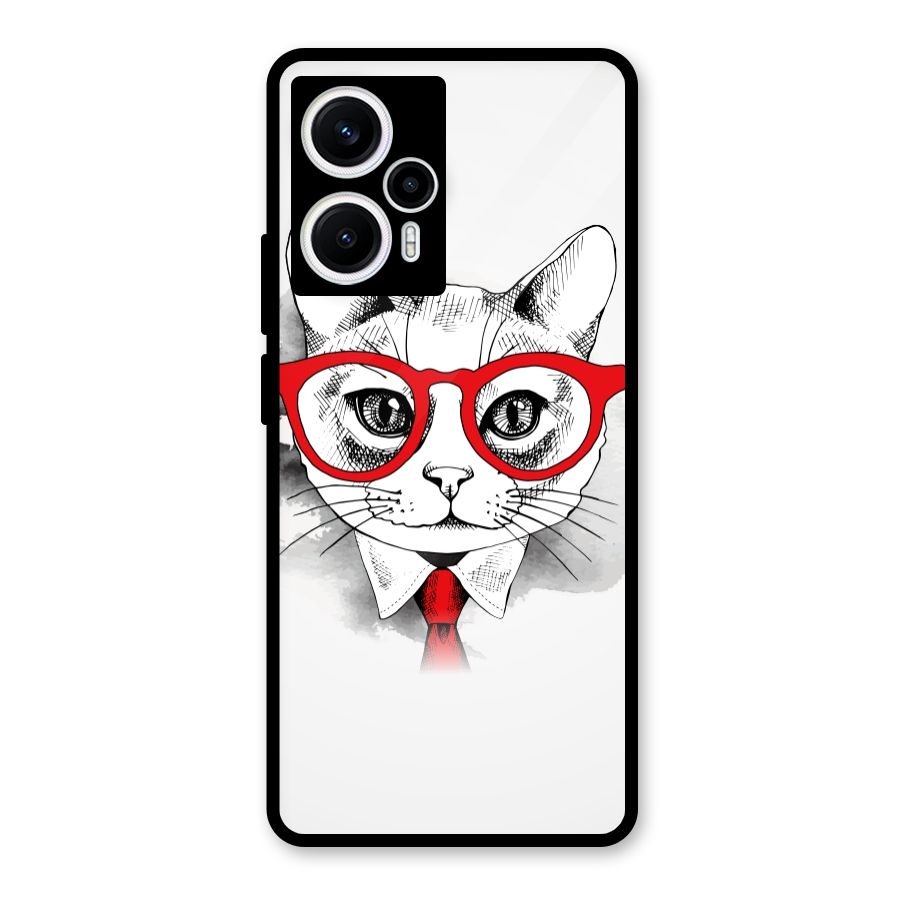 Business Cat Glass Back Case for Poco F5