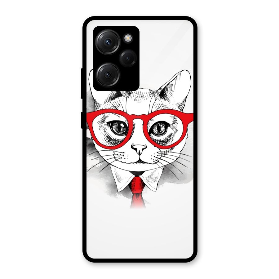 Business Cat Glass Back Case for Poco X5 Pro