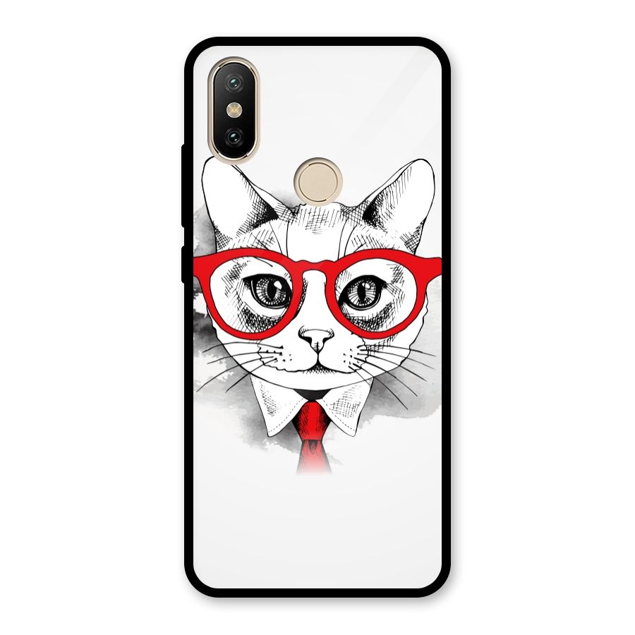Business Cat Glass Back Case for Redmi A2