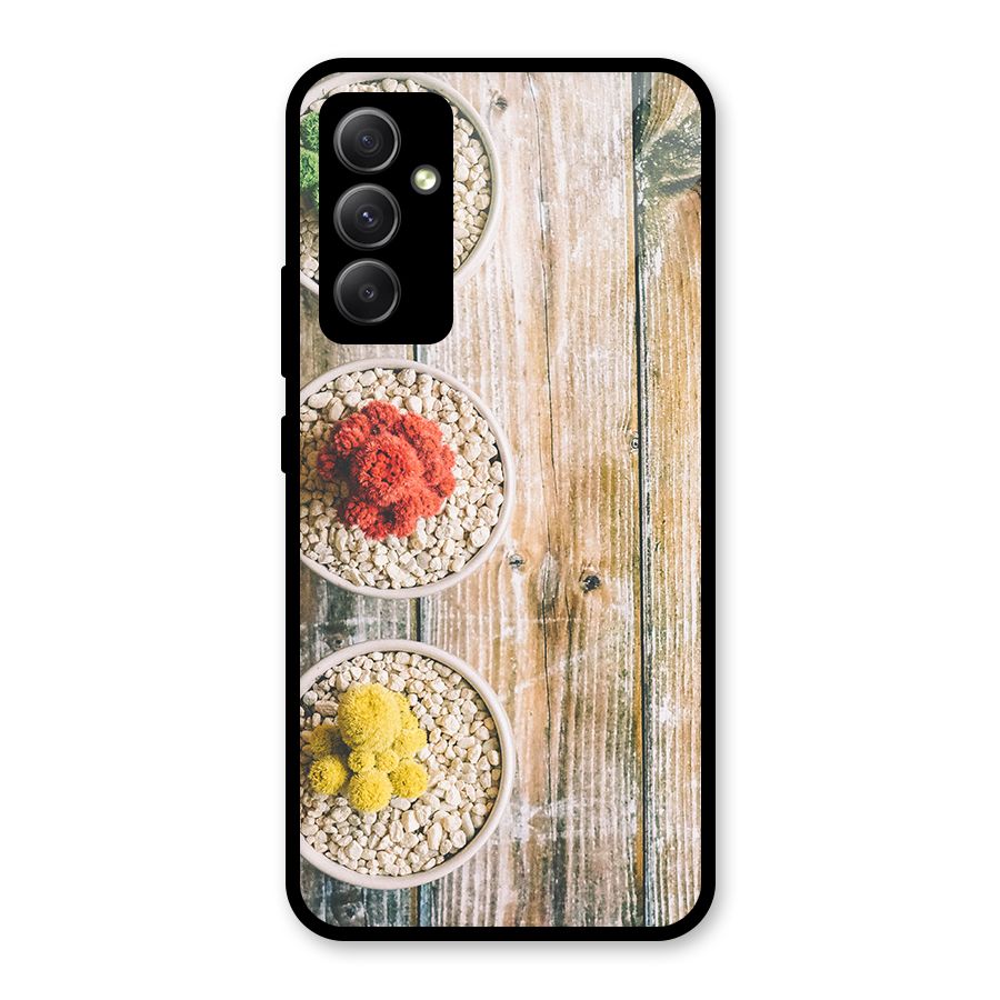 Cacti Decor Glass Back Case for Galaxy A34