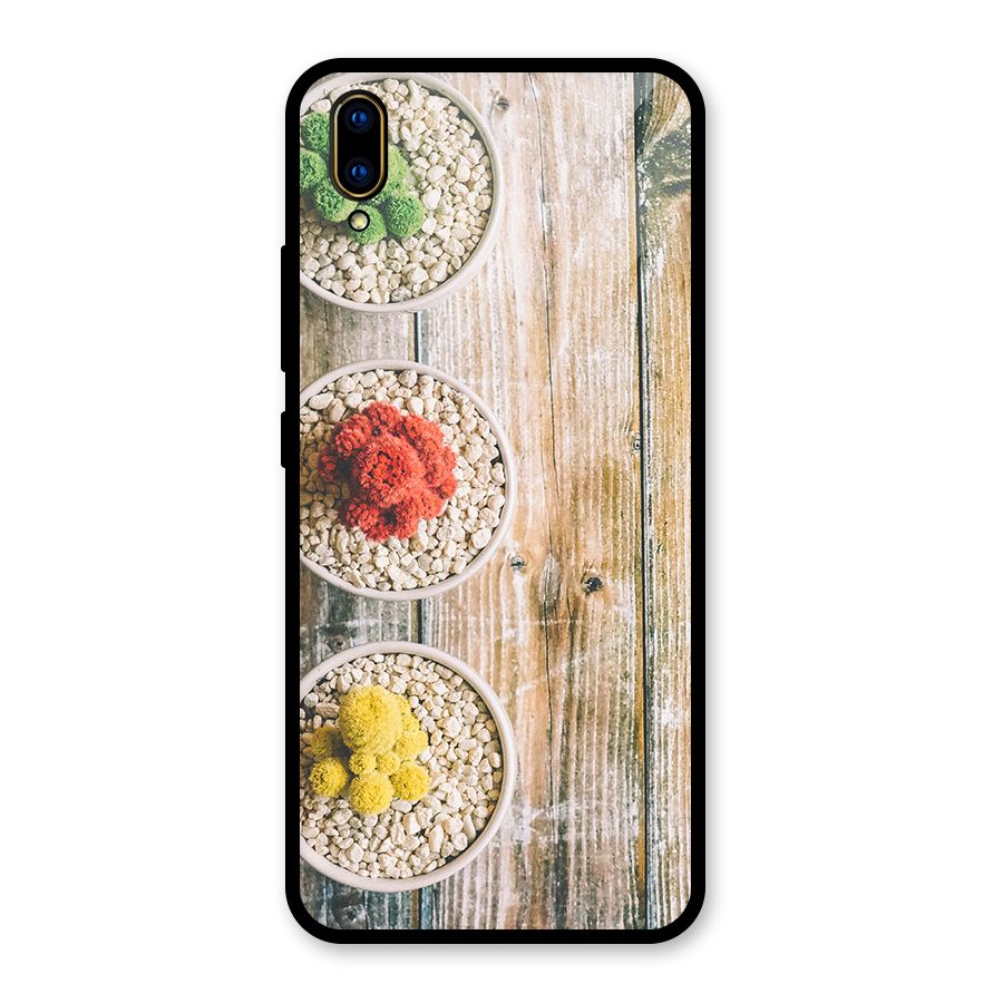 Cacti Decor Glass Back Case for Vivo V11 Pro