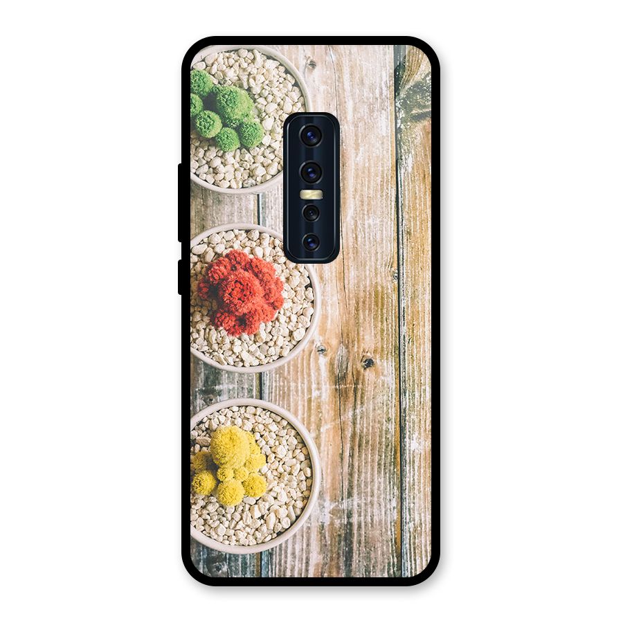 Cacti Decor Glass Back Case for Vivo V17 Pro