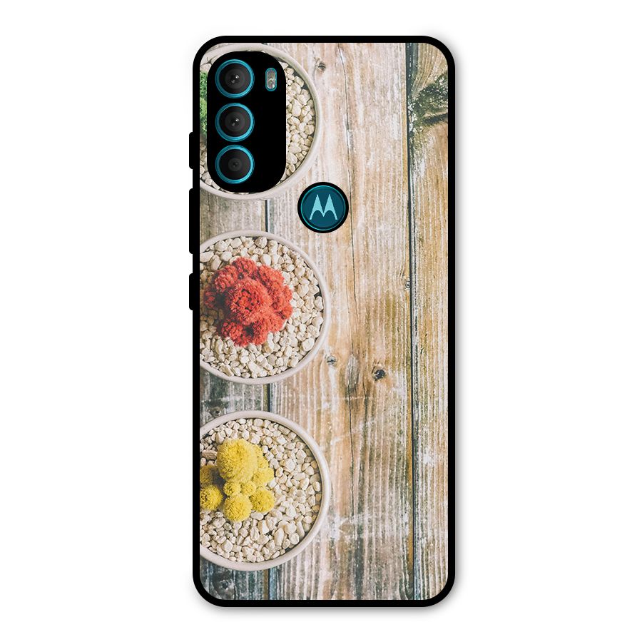 Cacti Decor Metal Back Case for Moto G71 5G