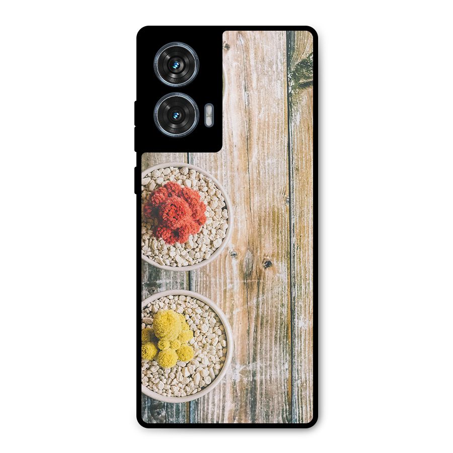 Cacti Decor Metal Back Case for Motorola Edge 50 Fusion