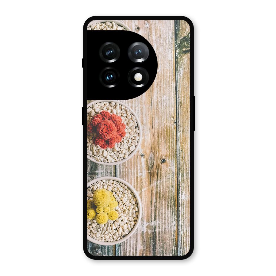 Cacti Decor Metal Back Case for OnePlus 11