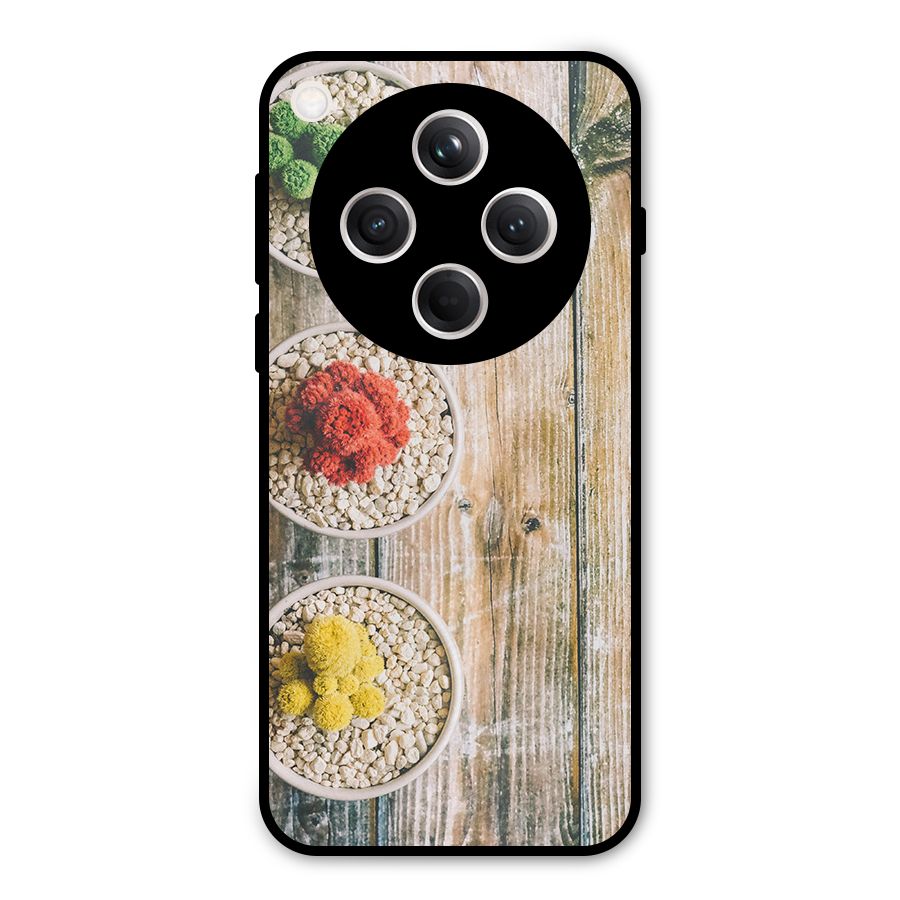 Cacti Decor Metal Back Case for Oppo Find X8