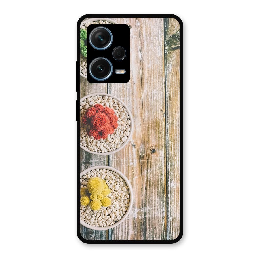 Cacti Decor Metal Back Case for Redmi Note 12 Pro Plus 5G