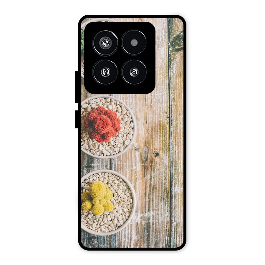 Cacti Decor Metal Back Case for Xiaomi 14 Pro