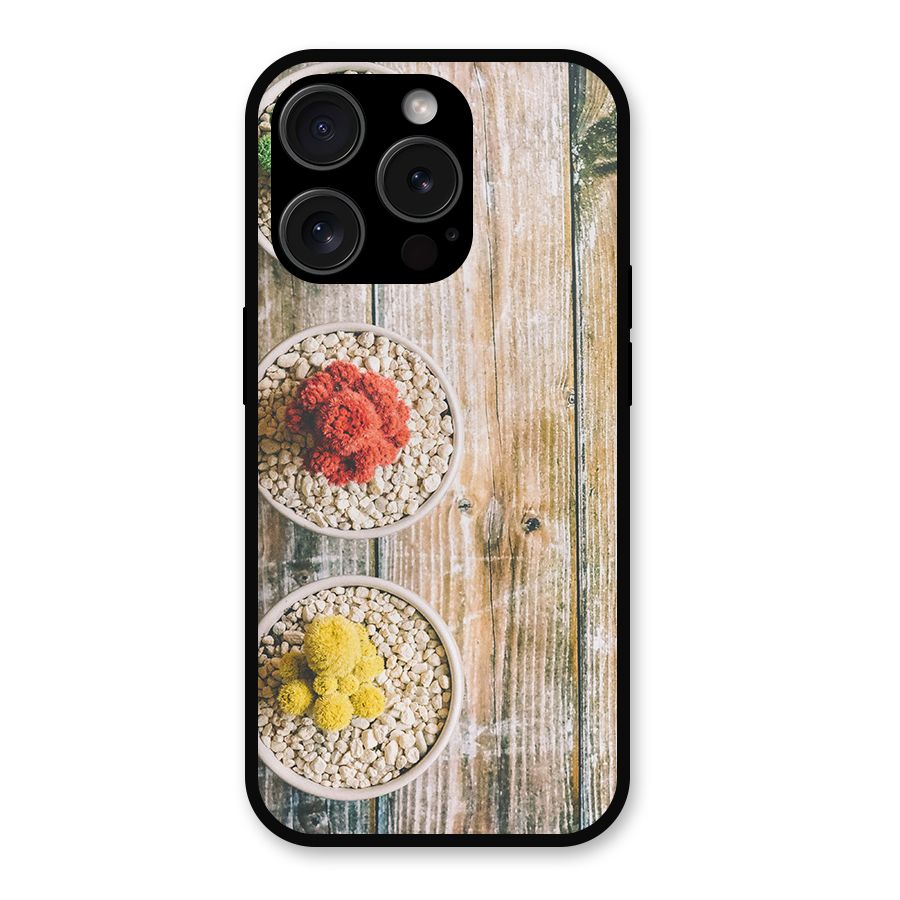 Cacti Decor Metal Back Case for iPhone 15 Pro