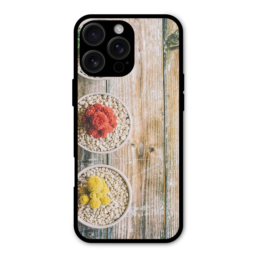 Cacti Decor Metal Back Case for iPhone 16 Pro Max