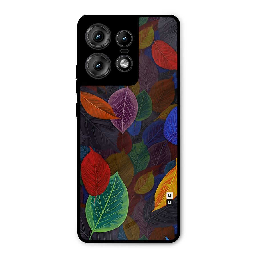 Colorful Leaves Pattern Metal Back Case for Motorola Edge 50 Pro