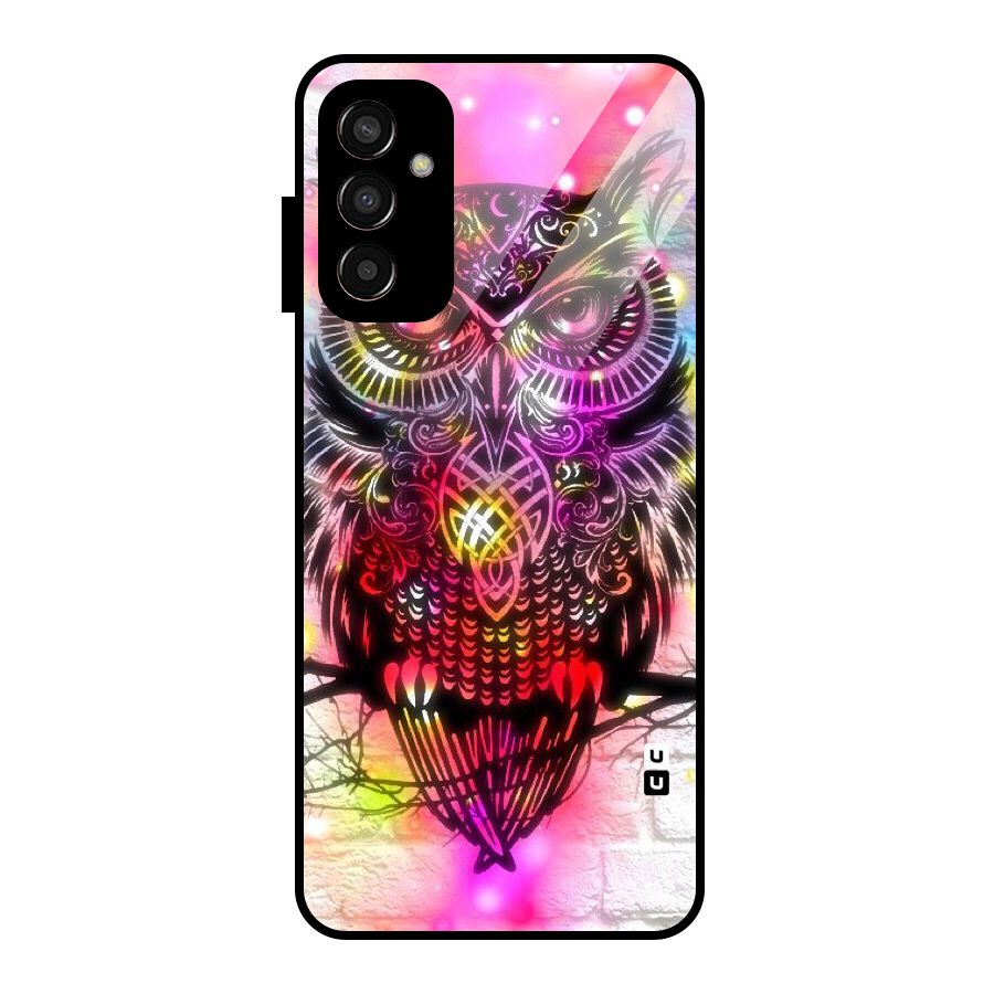 Colourful Owl Glass Back Case for Galaxy F13