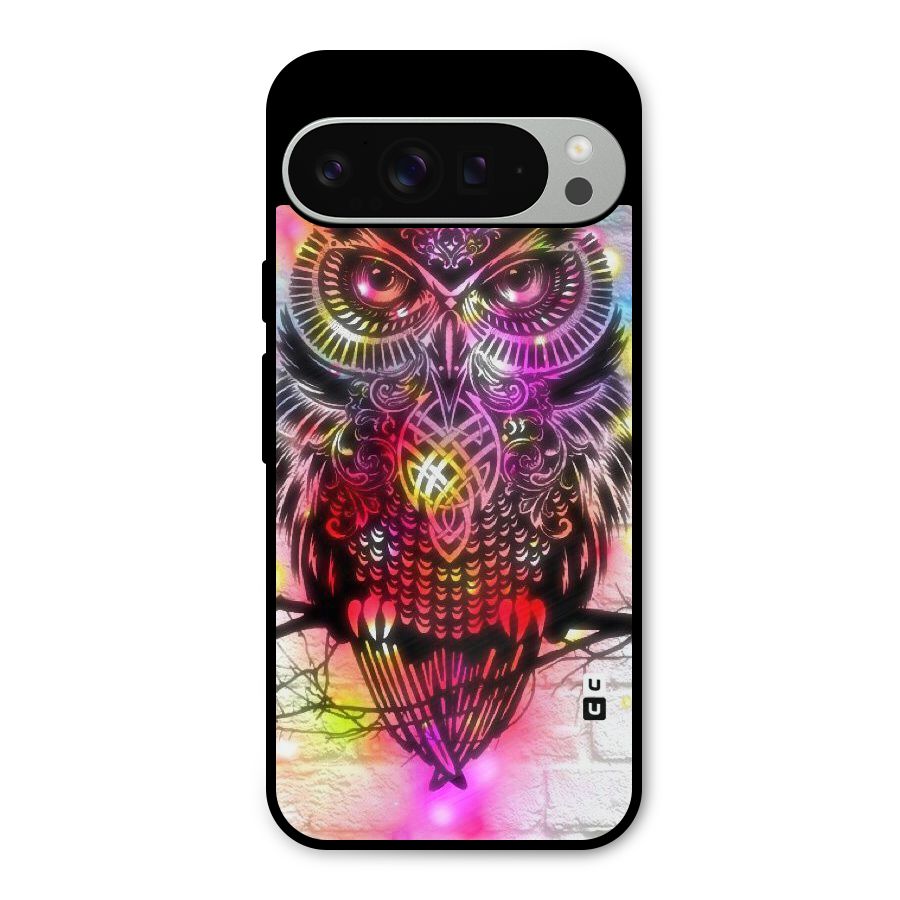 Colourful Owl Metal Back Case for Google Pixel 9 Pro XL