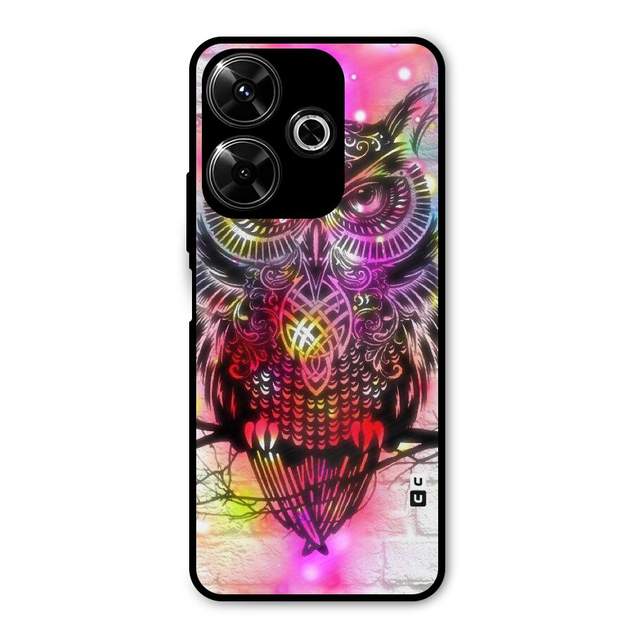 Colourful Owl Metal Back Case for Poco M6 Plus