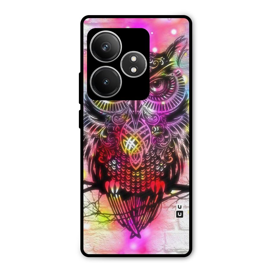 Colourful Owl Metal Back Case for Realme GT 6T