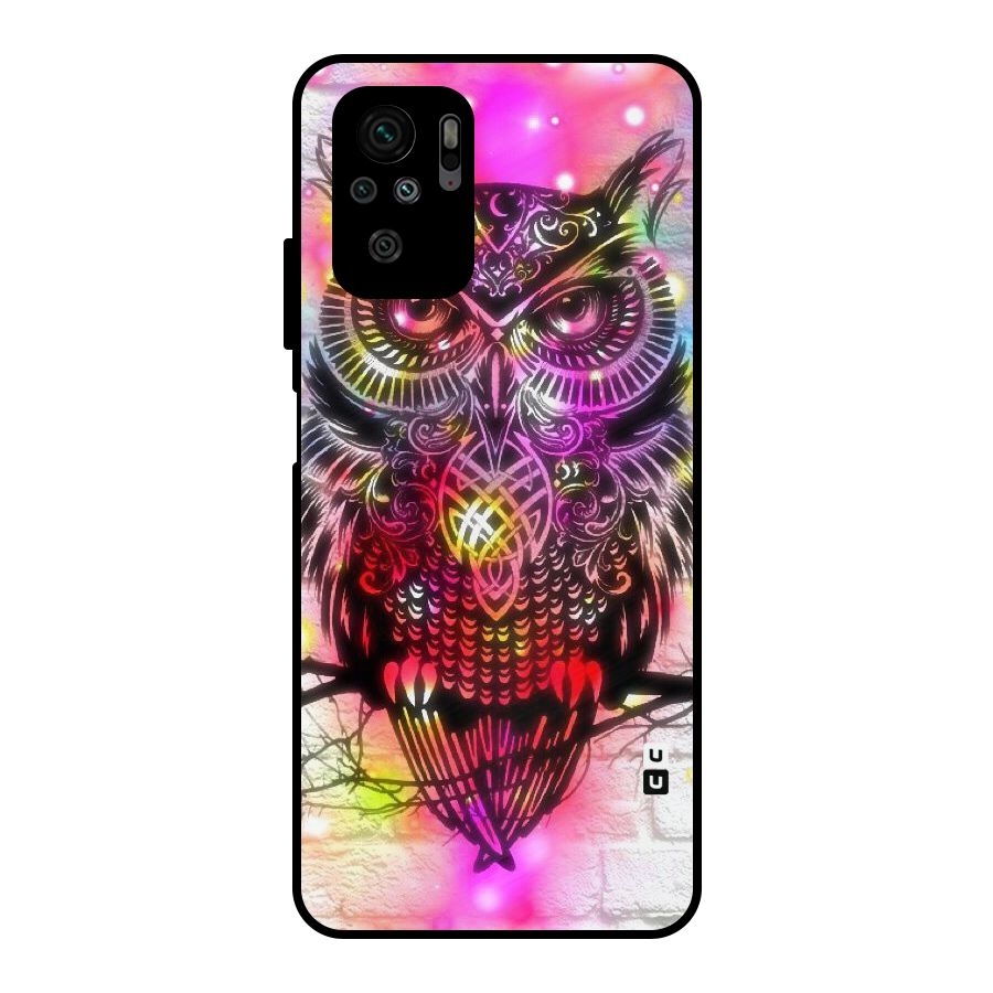 Colourful Owl Metal Back Case for Redmi Note 10S