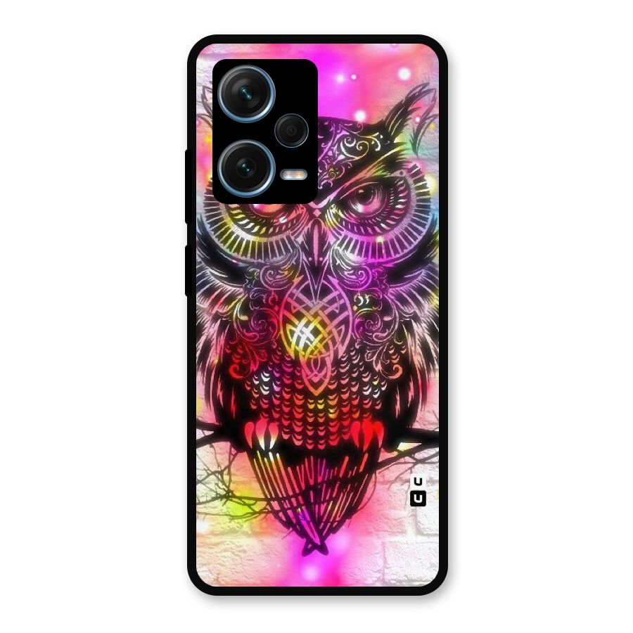 Colourful Owl Metal Back Case for Redmi Note 12 Pro Plus 5G