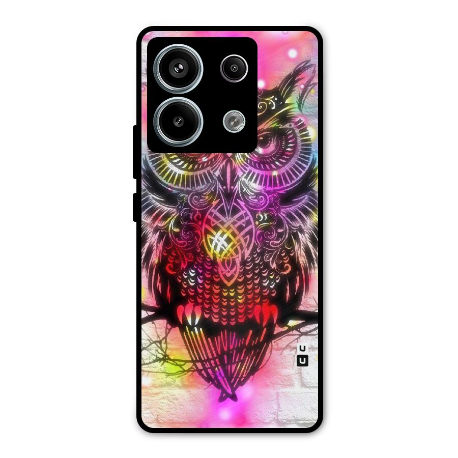 Colourful Owl Metal Back Case for Redmi Note 13 Pro 5G
