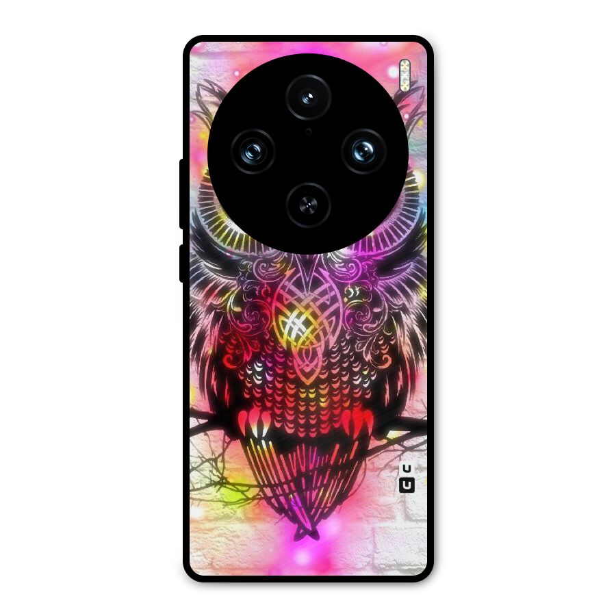 Colourful Owl Metal Back Case for Vivo X100 Pro
