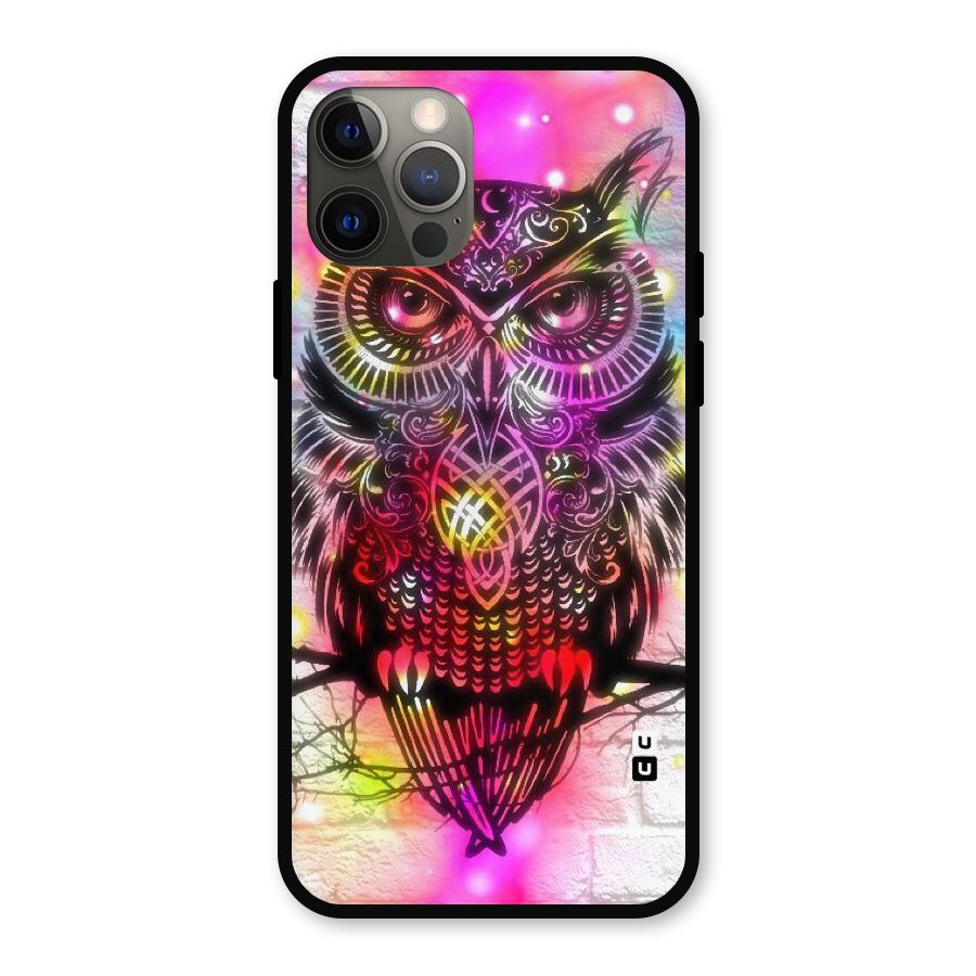 Colourful Owl Metal Back Case for iPhone 12 Pro