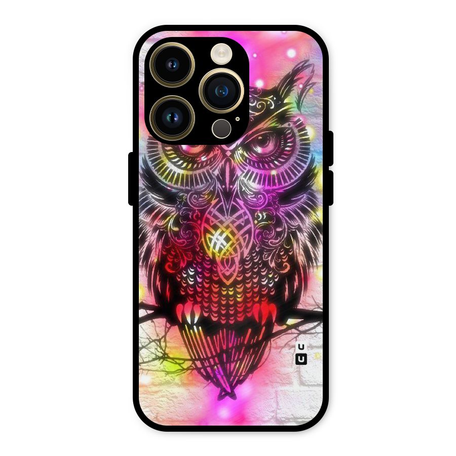 Colourful Owl Metal Back Case for iPhone 14 Pro