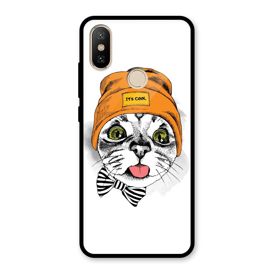 Cool cat Glass Back Case for Redmi A2