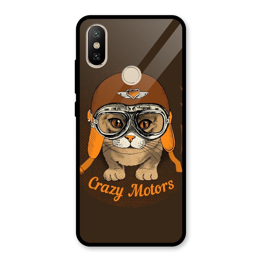 Crazy cat Glass Back Case for Redmi A2