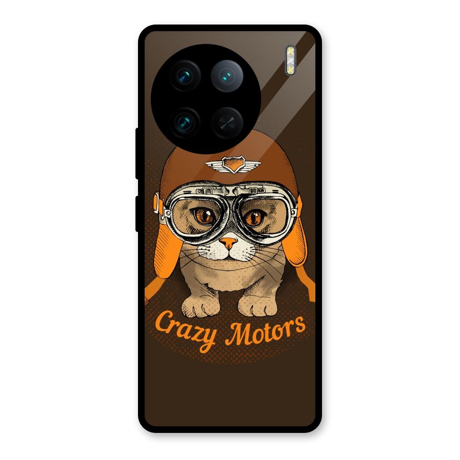 Crazy cat Glass Back Case for Vivo X90 Pro
