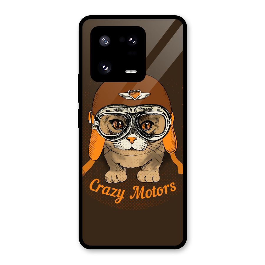 Crazy cat Glass Back Case for Xiaomi 13 Pro