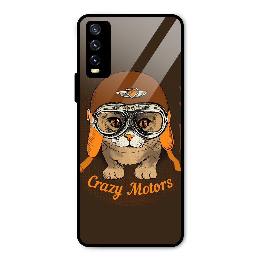 Crazy cat Metal Back Case for Vivo Y20g
