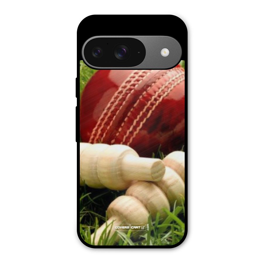 Cricket Ball and Stumps Metal Back Case for Google Pixel 9