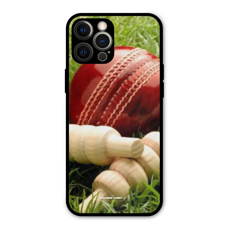 Cricket Ball and Stumps Metal Back Case for iPhone 12 Pro Max