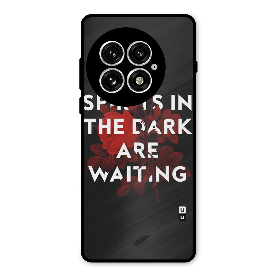 Dark Spirits Metal Back Case for OnePlus 13