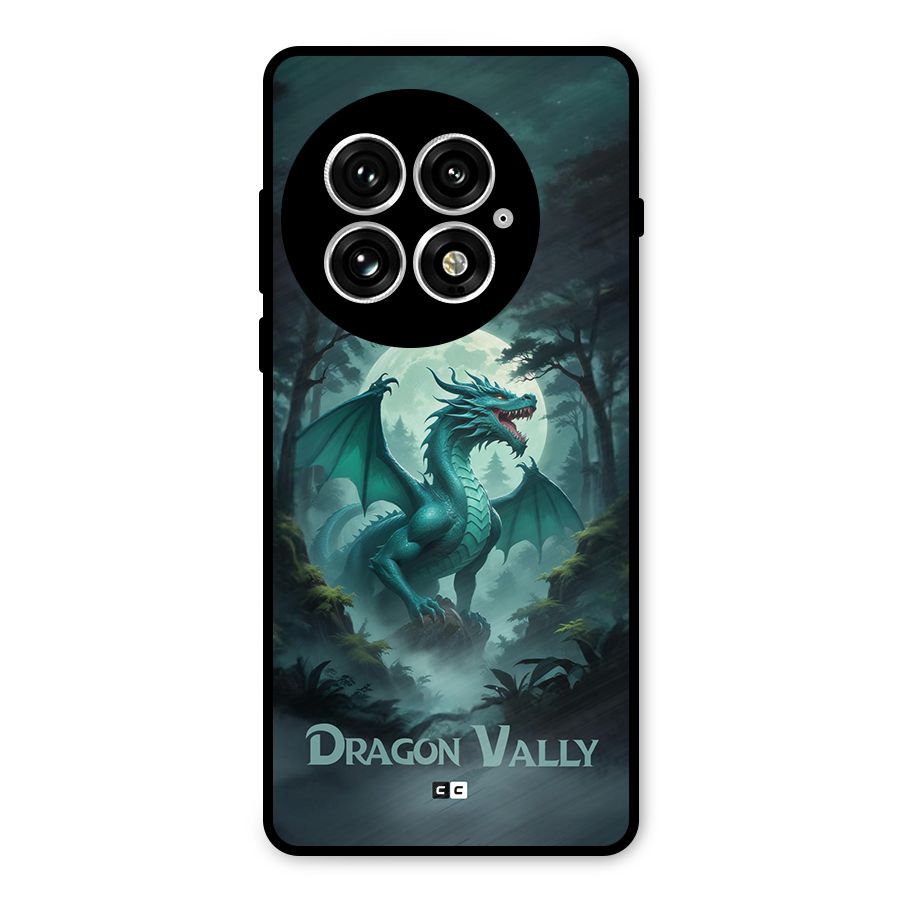 Dragon Valley Metal Back Case for OnePlus 13