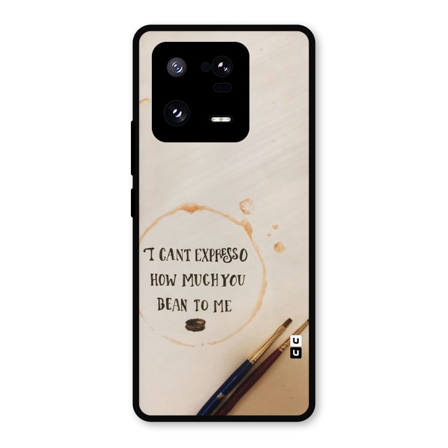Espresso Bean Metal Back Case for Xiaomi 13 Pro