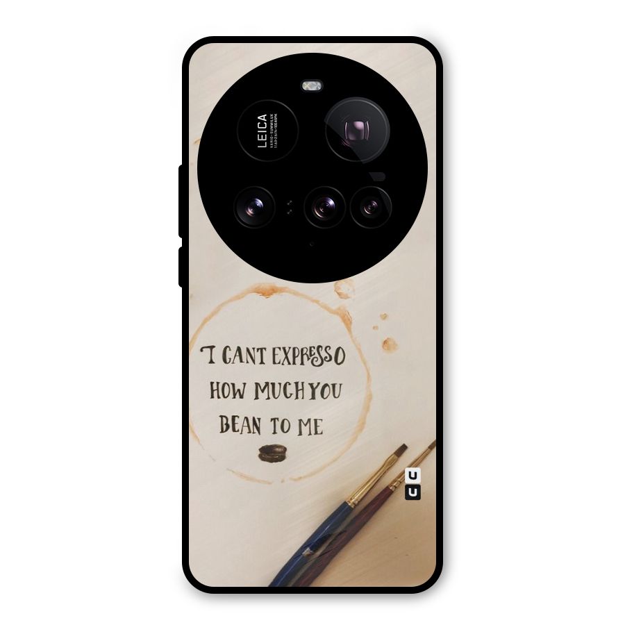 Espresso Bean Metal Back Case for Xiaomi 15 Ultra