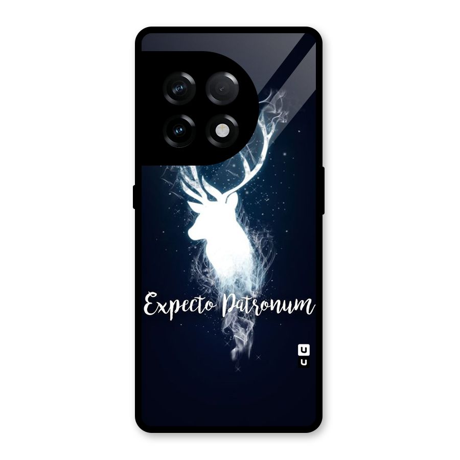Expected Wish Glass Back Case for OnePlus 11R