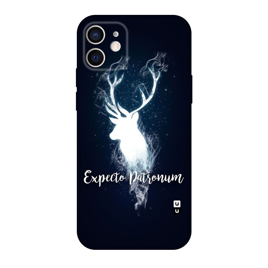 Expected Wish Original Polycarbonate Back Case for iPhone 12