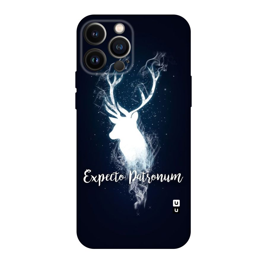 Expected Wish Original Polycarbonate Back Case for iPhone 13 Pro Max