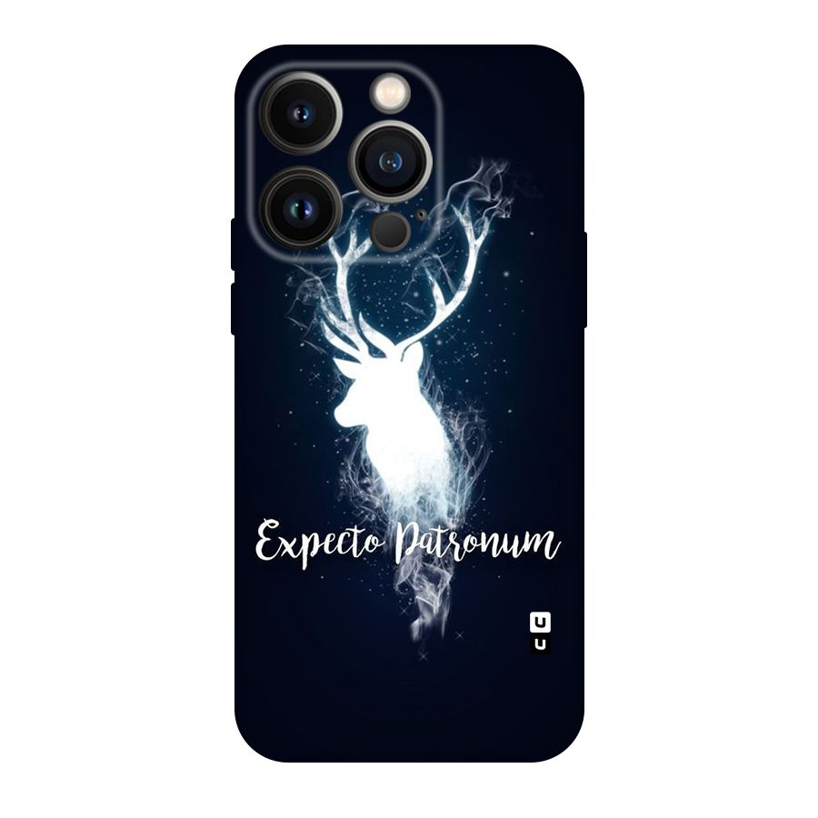 Expected Wish Original Polycarbonate Back Case for iPhone 14 Pro